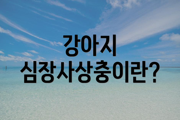 강아지 심장사상충이란?