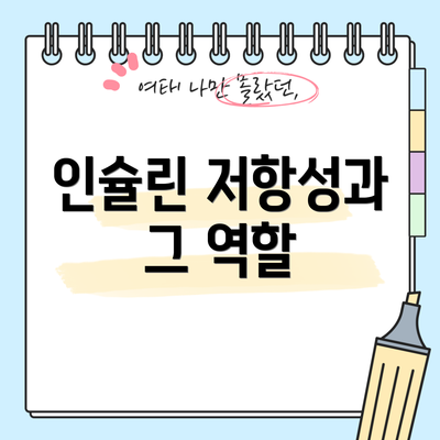 인슐린 저항성과 그 역할