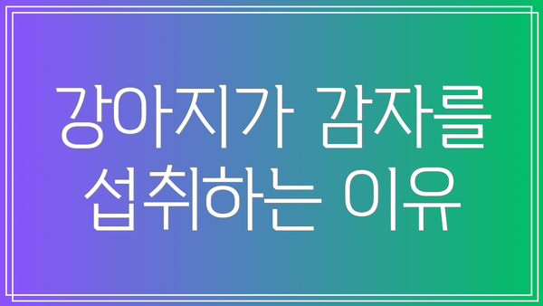 강아지가 감자를 섭취하는 이유