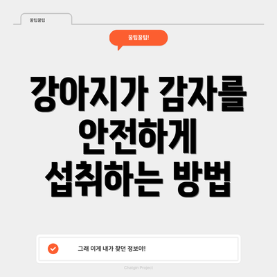 강아지가 감자를 안전하게 섭취하는 방법