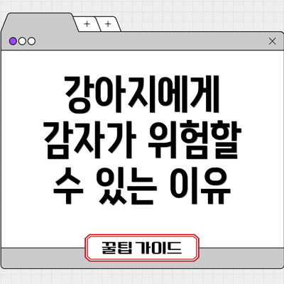 강아지에게 감자가 위험할 수 있는 이유