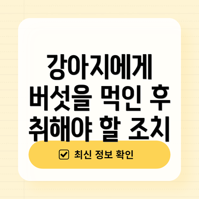 강아지에게 버섯을 먹인 후 취해야 할 조치
