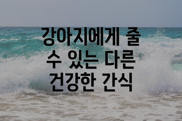 강아지에게 줄 수 있는 다른 건강한 간식