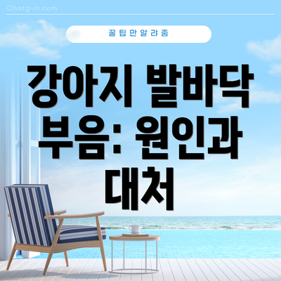 강아지 발바닥 부음: 원인과 대처