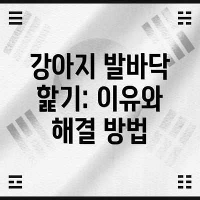 강아지 발바닥 핥기: 이유와 해결 방법