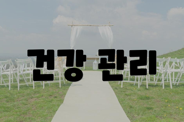 건강 관리