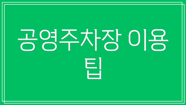 공영주차장 이용 팁