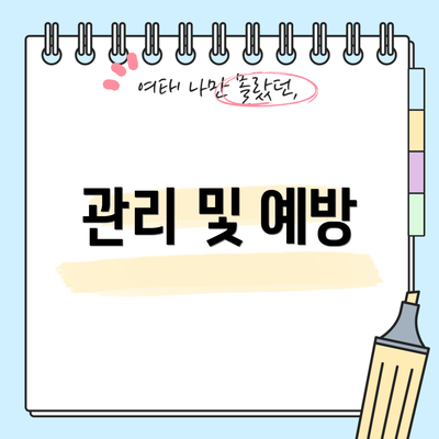 관리 및 예방