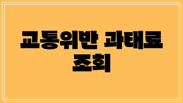 교통위반 과태료 조회