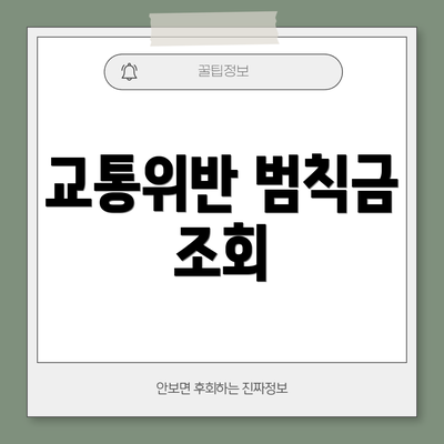 교통위반 범칙금 조회