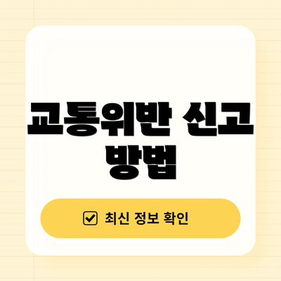 교통위반 신고 방법