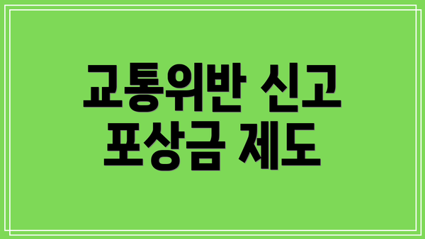 교통위반 신고 포상금 제도