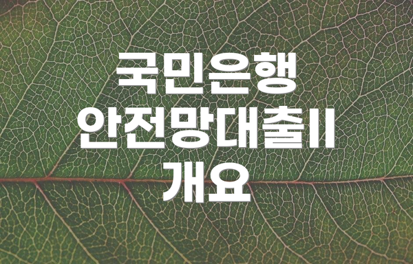 국민은행 안전망대출II 개요