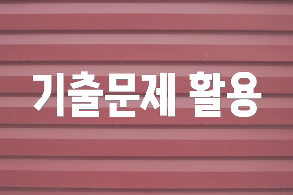 기출문제 활용