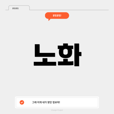 노화