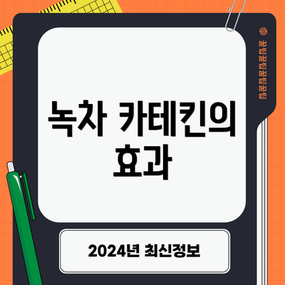녹차 카테킨의 효과