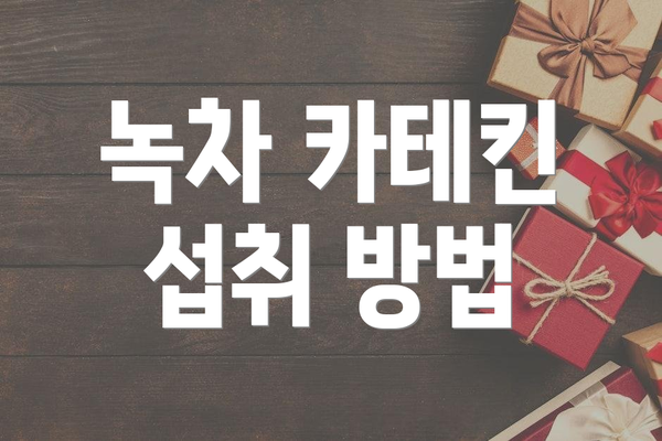 녹차 카테킨 섭취 방법