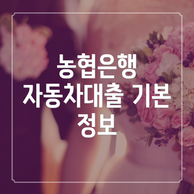 농협은행 자동차대출 기본 정보