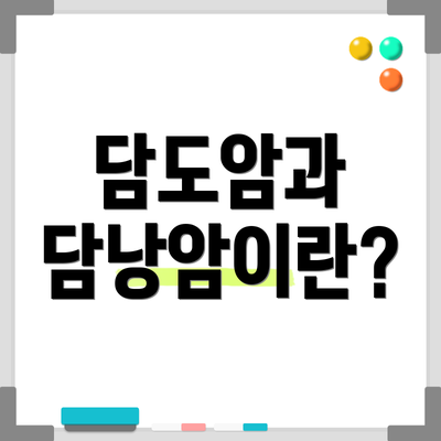 담도암과 담낭암이란?