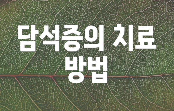 담석증의 치료 방법