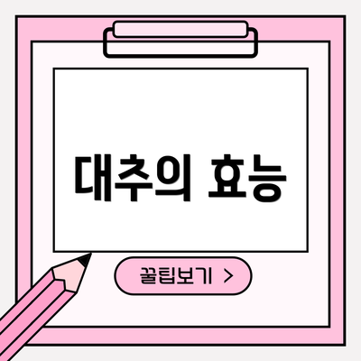 대추의 효능