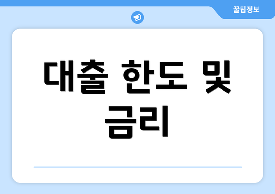 대출 한도 및 금리