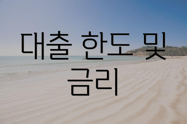 대출 한도 및 금리