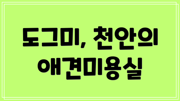 도그미, 천안의 애견미용실