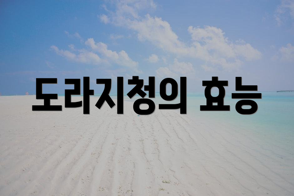 도라지청의 효능