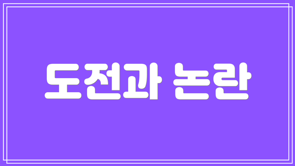 도전과 논란