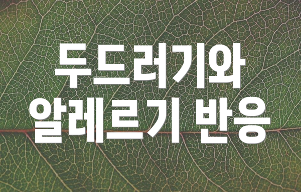 두드러기와 알레르기 반응