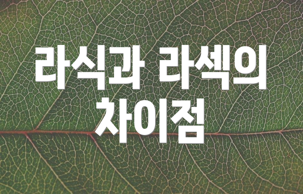 라식과 라섹의 차이점
