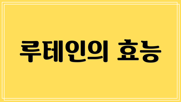 루테인의 효능