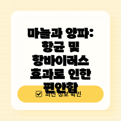 마늘과 양파: 항균 및 항바이러스 효과로 인한 편안함