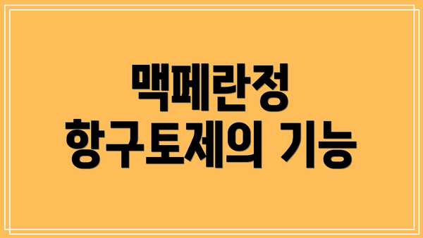 맥페란정 항구토제의 기능