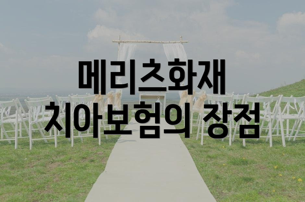 메리츠화재 치아보험의 장점