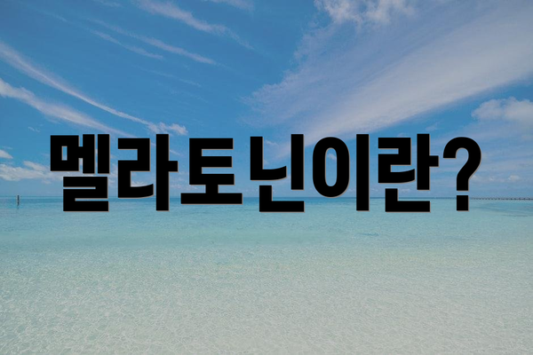 멜라토닌이란?