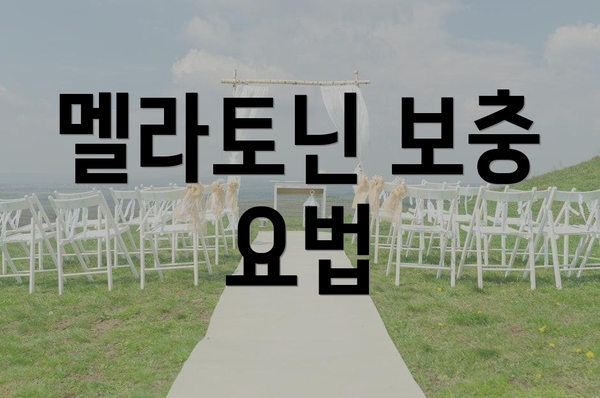 멜라토닌 보충 요법