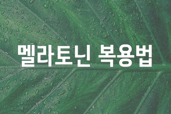 멜라토닌 복용법