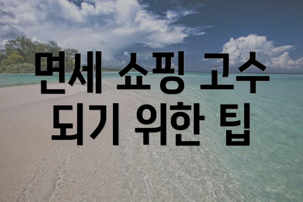 면세 쇼핑 고수 되기 위한 팁