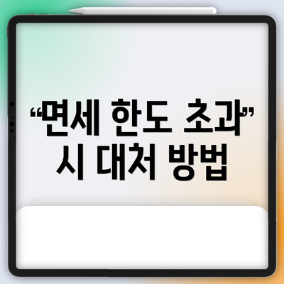면세 한도 초과 시 대처 방법