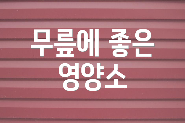 무릎에 좋은 영양소
