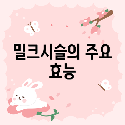 밀크시슬의 주요 효능