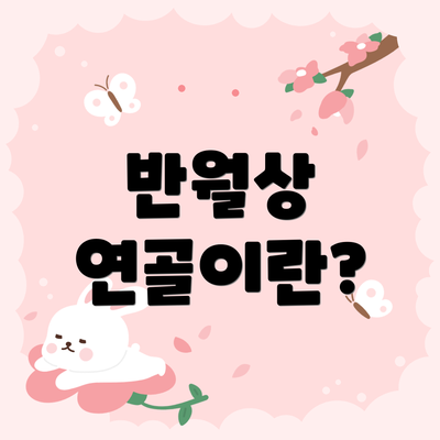 반월상 연골이란?