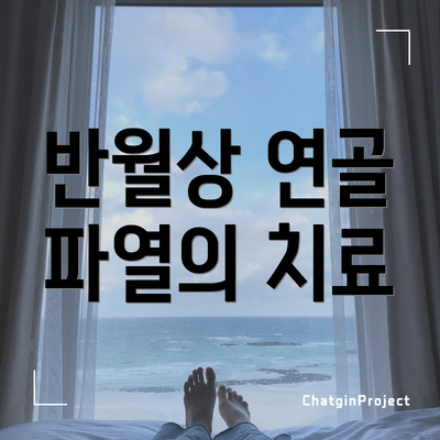 반월상 연골 파열의 치료