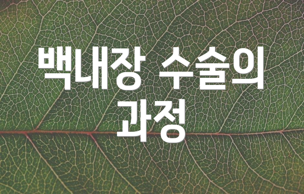백내장 수술의 과정