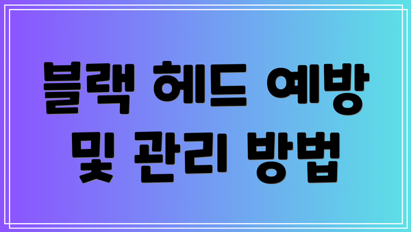 블랙 헤드 예방 및 관리 방법