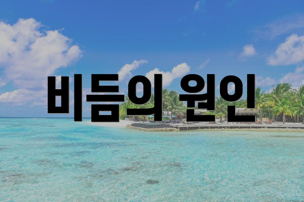비듬의 원인