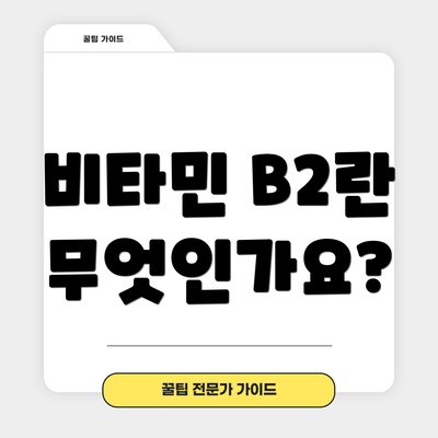 비타민 B2란 무엇인가요?