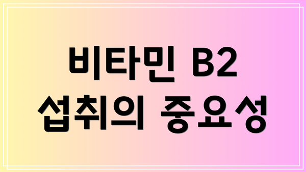 비타민 B2 섭취의 중요성